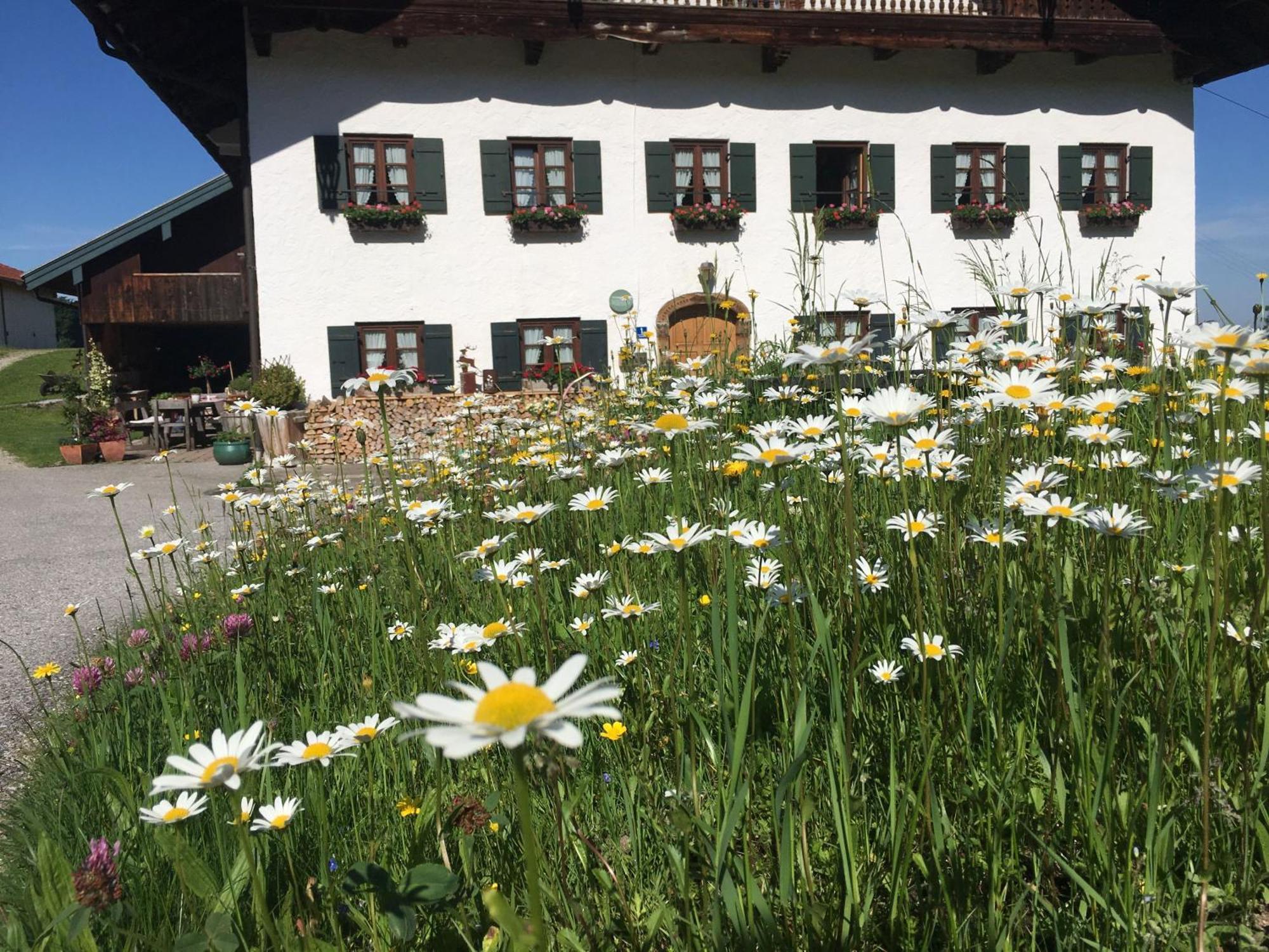Stadlerhof Frasdorf Eksteriør bilde